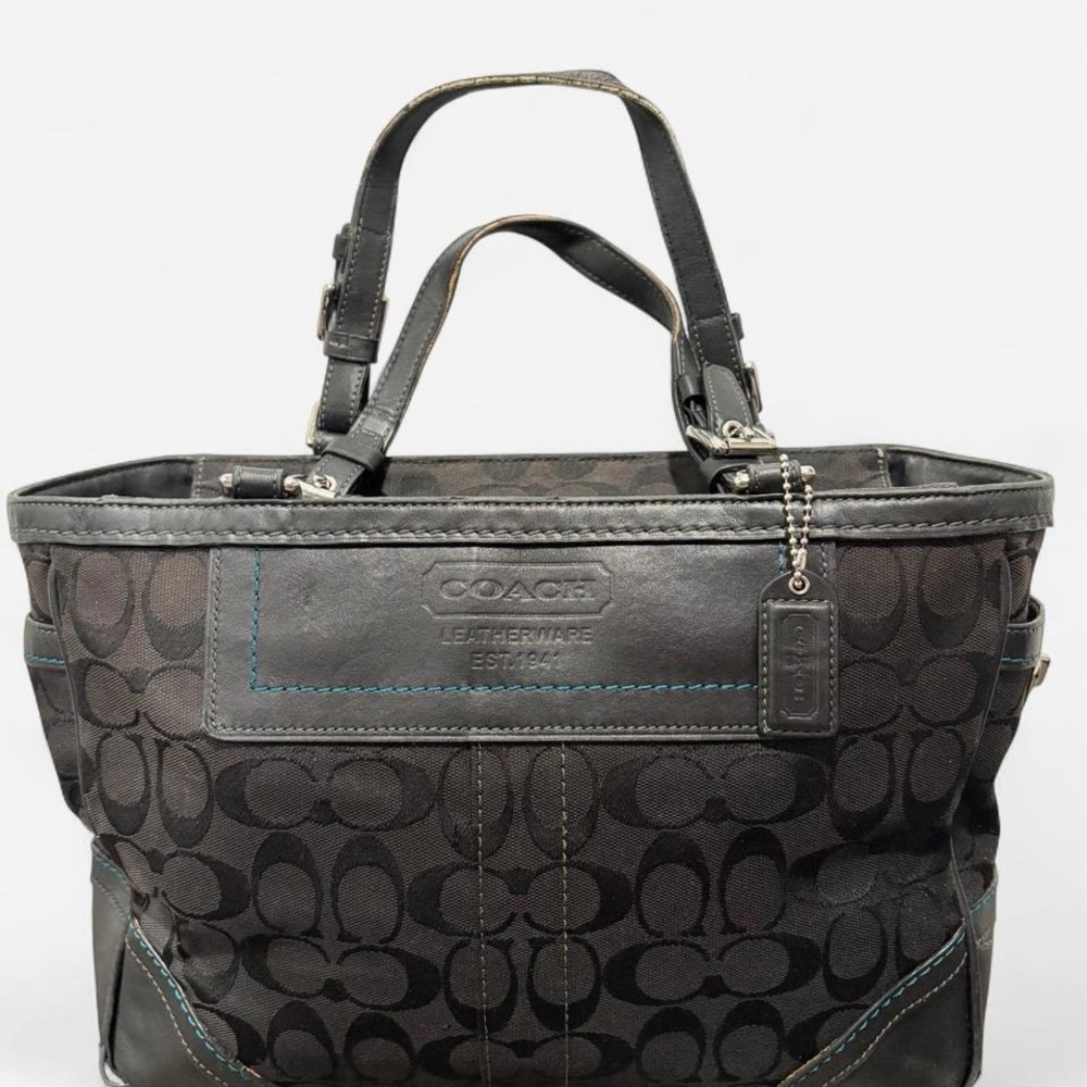 Coach Signature Canvas Tote Bag